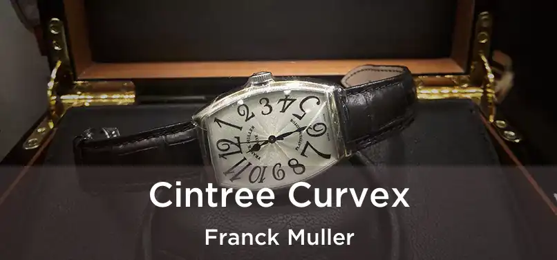  Cintree Curvex Franck Muller