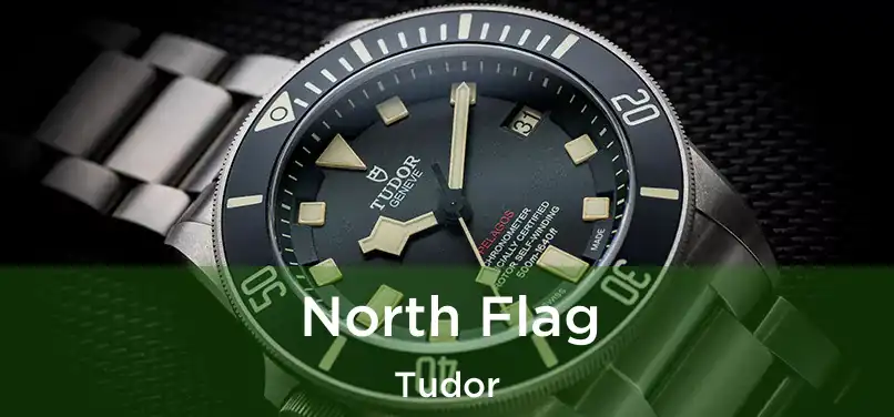  North Flag Tudor