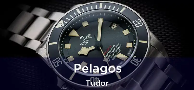  Pelagos Tudor
