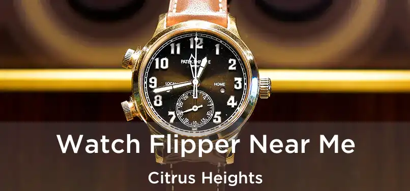  Watch Flipper Near Me Citrus Heights